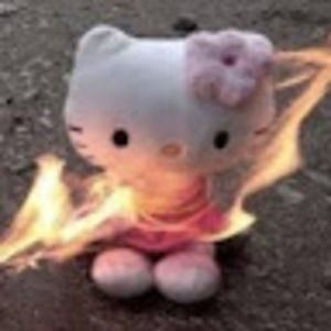 Meet your Posher, Karin